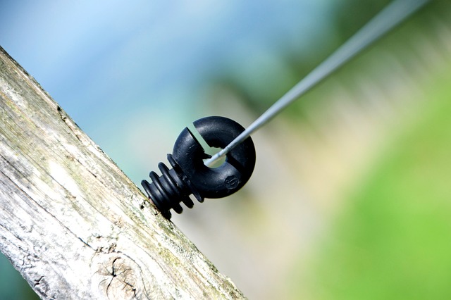 Gdzie nie ma Polaków na świecie? Gdzie nie ma Polaków na świecie?